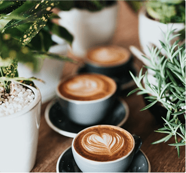 The Art of Brewing the Perfect Cup