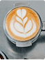 Morning Glory Blend